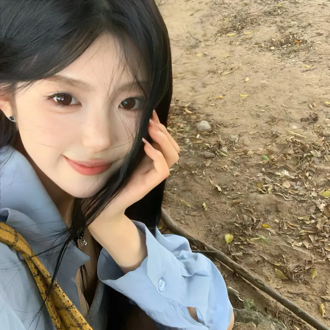 大漠紫禁令